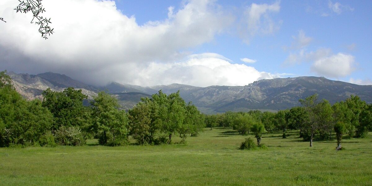 Parque_Regional_Cuenca_Alta_Manzanares_dehesa Parque Regional Cuenca Alta del Manzanares Madrid