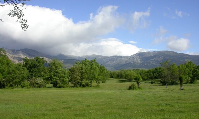 Parque_Regional_Cuenca_Alta_Manzanares_dehesa Parque Regional Cuenca Alta del Manzanares Madrid