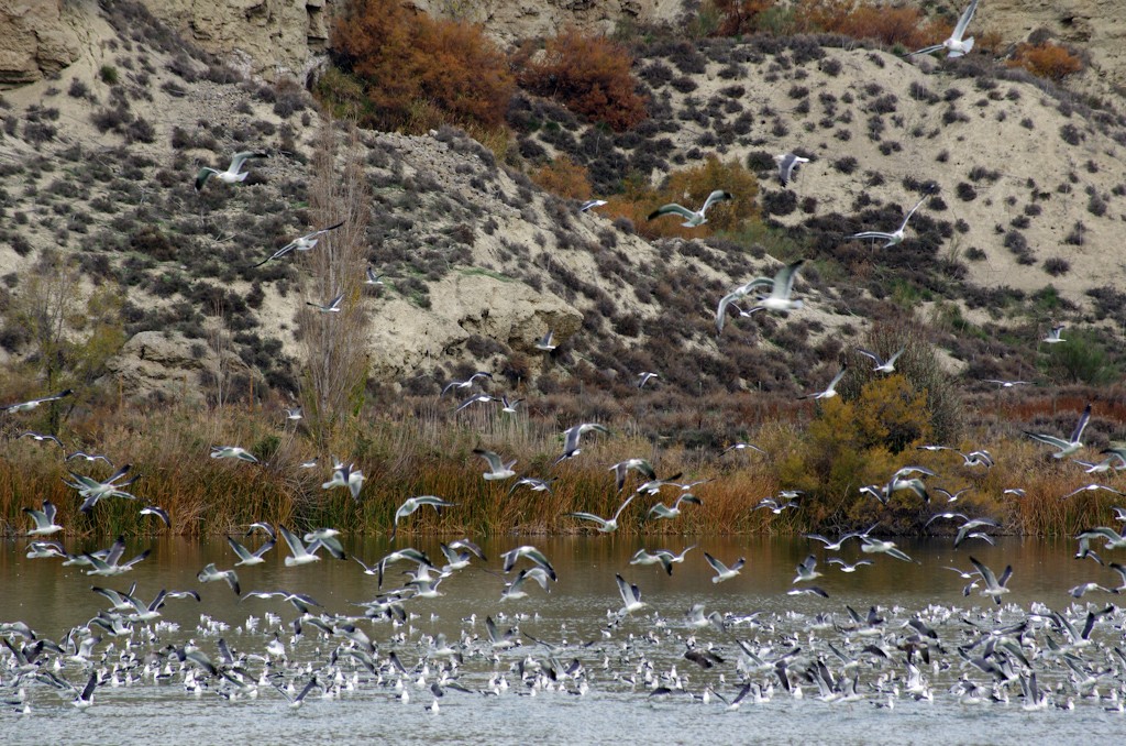 Southeast Madrid Regional Park