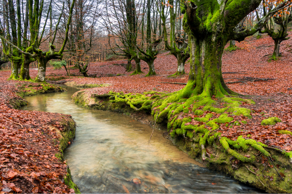 Autumn in motorhome