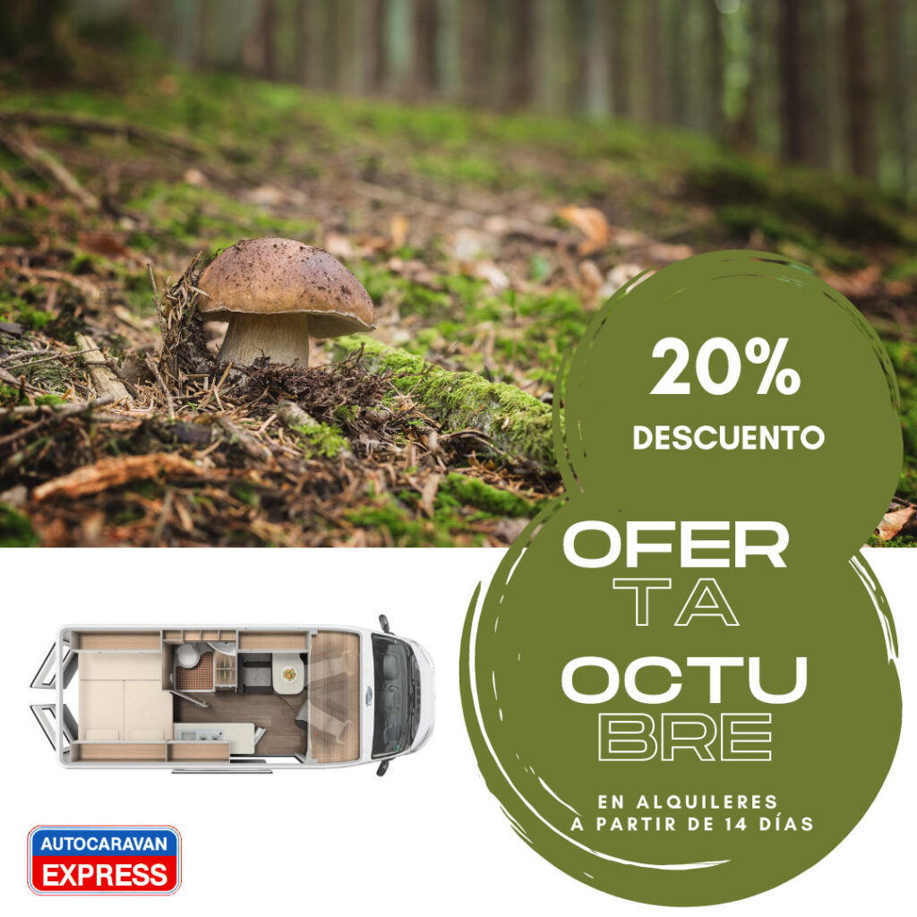 Oferta alquiler octubre