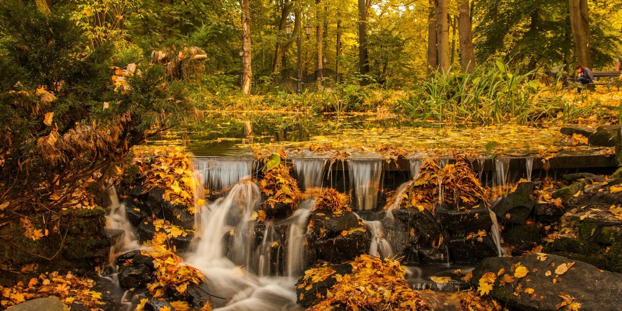 Otoño en autocaravana