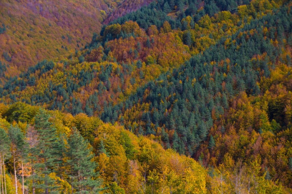 Autumn in motorhome