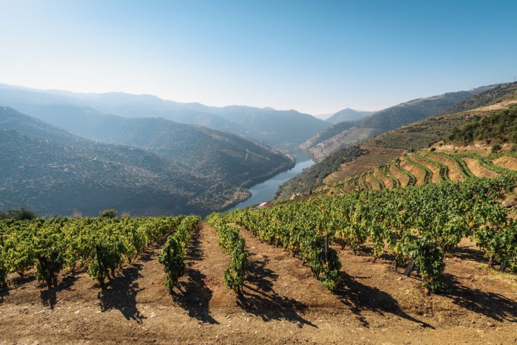 Wine tourism in motorhome_Douro