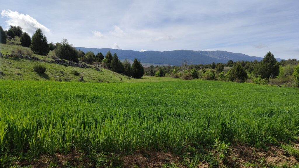 Primavera en autocaravana