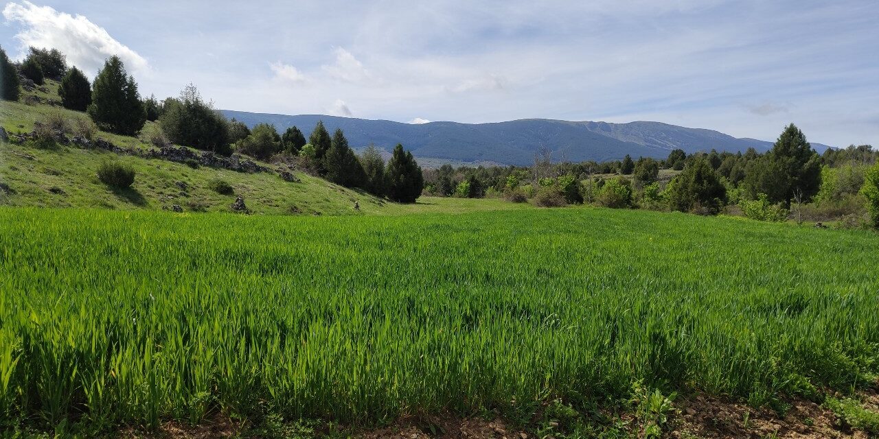 Primavera_autocaravana_baja Primavera en autocaravana