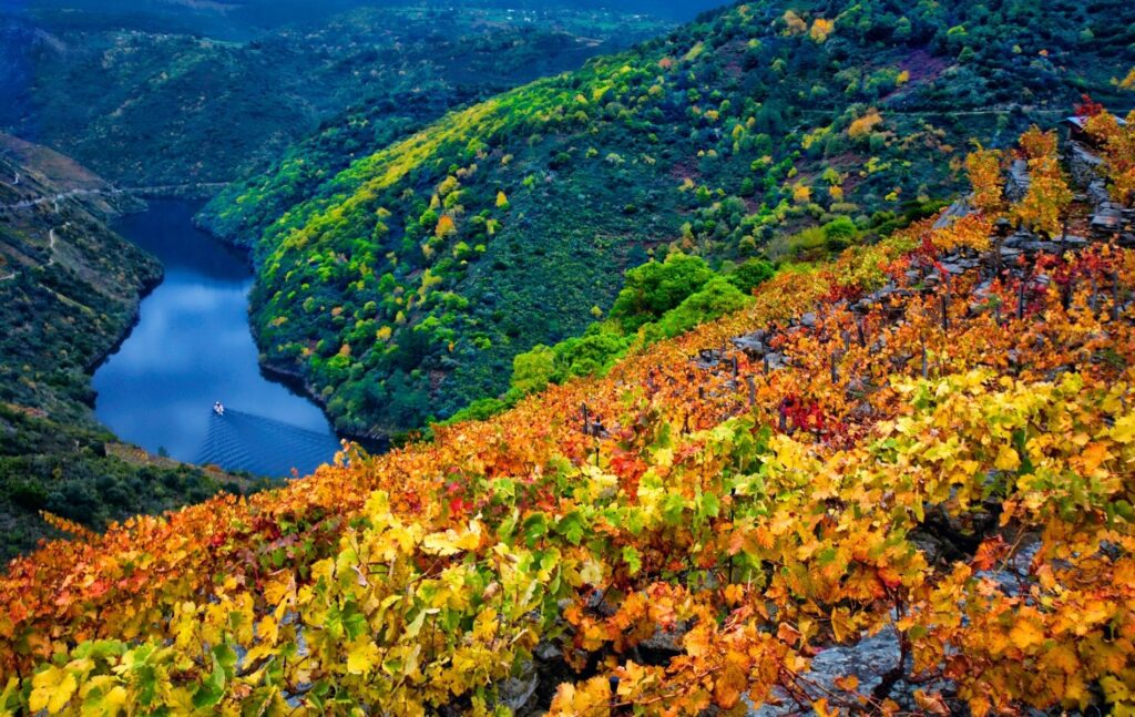 5 destinos para viajar en autocaravana en otoño e invierno: Ribeira Sacra